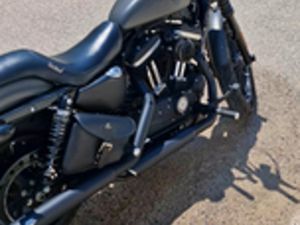 HARLEY DAVIDSON SPORTSTER IRON 883 GRAY