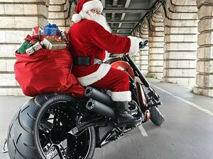 SHOW BIKE VROD MUSCLE PNEU300