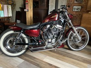 HARLEY SPORTSTER SEVENTY TWO 72 THORCAT MUSTANG SITZ BOBBER
