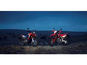 HONDA CRF 300 L / CRF 300 RALLY