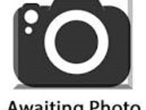 USED TRIUMPH SCRAMBLER 1200 XE FOR SALE IN ST LEONARDS ON SEA