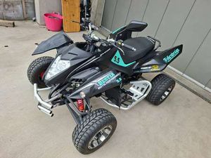 BEELINE BESTIA 5.5 SM