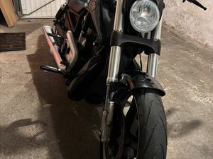 HARLEY VROD MUSCLE
