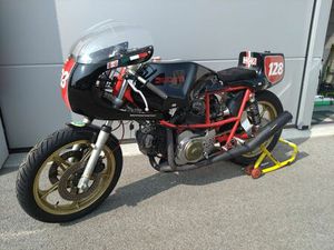 DUCATI PANTAH 650 SL 81 PISTE