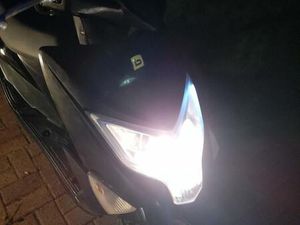 BEELINE TAPO BJR.2015