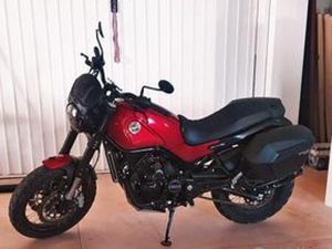 BENELLI LEONCINO 500 - 2020