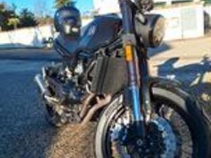 BENELLI LEONCINO 500 - 2019