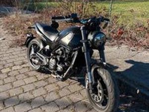 BENELLI LEONCINO 500 A2