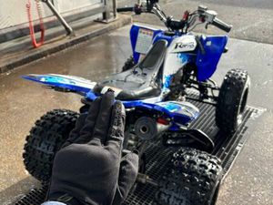 250 RAPTOR HOMOLOGUÉS