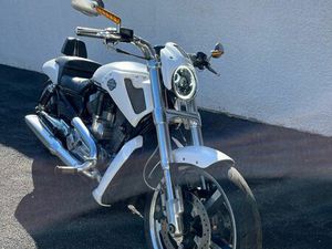 HARLEY V ROD MUSCLÉ