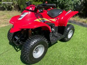 IDÉE CADEAU DE NOËL ? VRAI QUAD E-TON 50 VIPER JUNIOR