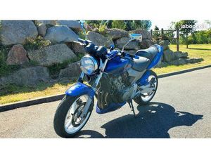 HONDA HORNET 600 BLEU A2 - CT OK