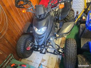 VEND QUAD SHINERAY 250 CC