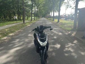 SCOOTER KISBEE 4 TEMPS