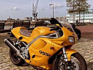 ICOON OP TWEE WIELEN - DAYTONA 955I — MOTOREN | TRIUMPH — MARKTPLAATS