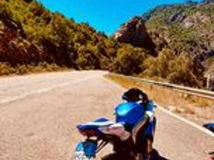 SUZUKI GSX R 1000 - 2010