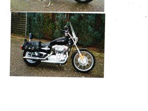 HARLEY-DAVIDSON SPORTSTER CUSTOM 1200