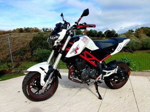 BENELLI TNT 125 CC ALGOSO, CAMPO DE VÍBORAS E UVA