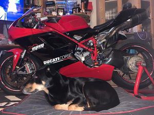 DUCATI FÜR RENNSTRECKE UND UMBAU AUF STRAßE! SEHR VIELE EXTRAS!!!