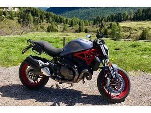 DUCATI MONSTER 821 - SONDERFARBE GREY STRIPE - EZ 2017