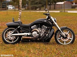 HARLEY-DAVIDSON V-ROD MUSCLE