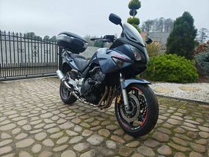 HONDA CBF 600 MĄCZNIK