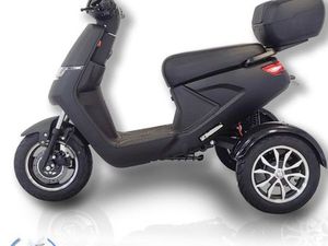 ELEKTRO ROLLER M-TWIN3