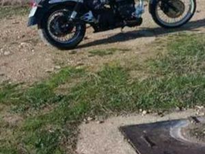 TRIUMPH - SPEEDMASTER AMERICA