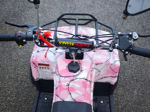 MINI QUAD 50 CC: IL DIVERTIMENTO SU 4 RUOTE