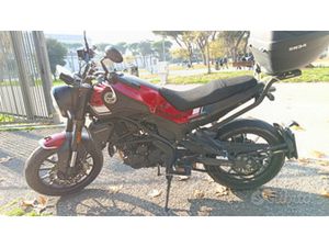 LEONCINO BENELLI 250