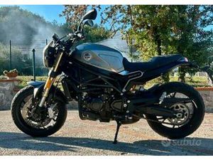 BENELLI LEONCINO 800