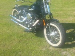 HARLEY DAVIDSON CROSS BONES