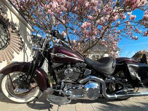 HARLEY DAVIDSON FLSTSC SOFTAIL SPRINGER