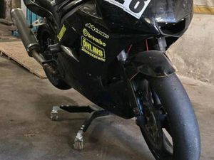 TRIUMPH DAYTONA 600 FÜR DIE RENNSTRECKE