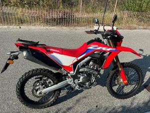 HONDA CRF 300 - 2024