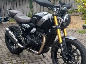 TRIUMPH, SCRAMBLER, 2024, 398 (CC)