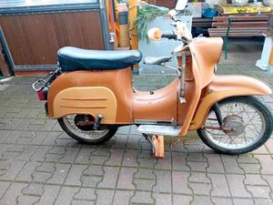 BIETE GUT ERHALTENE SCHWALBE AN