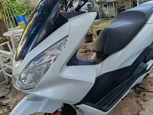 MOTA PCX 2017 MUITO ESTIMADA SETÚBAL (SÃO JULIÃO, NOSSA SENHORA DA ANUNCIADA E SANTA MARIA DA GRAÇA)