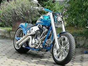 HARLEY-DAVIDSON CUSTOM BIKE