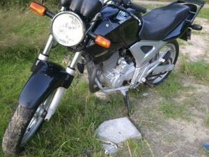 HONDA CBF 250 OGLOSZENIE WAŻNE DO 15 GRUDNIA RADOSTY