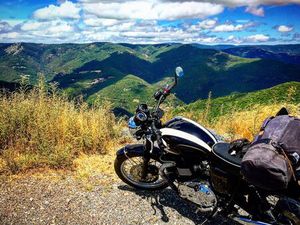TRIUMPH BONNEVILLE T100