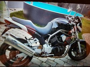 YAMAHA BT 1100 BELGARDA (BULLDOG)