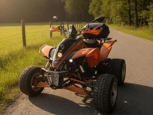 VERKAUFE ODER TAUSCHE QUAD SHINERAY SPIDER 250 CCM TÜV 6/2026