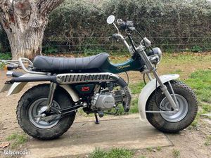 VANVAN SKYTEAM T-REX 125