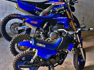 YZ 65 2022