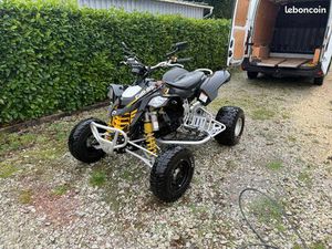 450 DS CAN-AM HOMOLOGUE