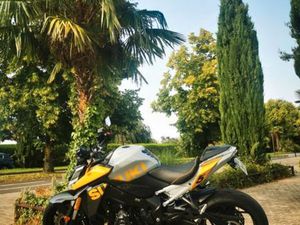 SUZUKI GSXS 1000