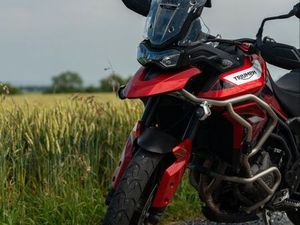 TRIUMPH TIGER 900 GT PRO