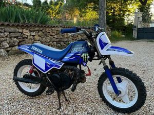 PW 50