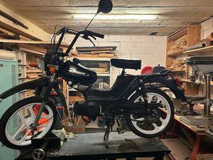 PONY CROSS CANTON ZOUG -